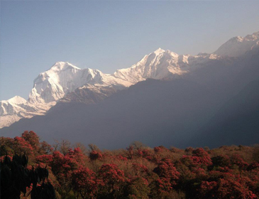 Dhaulagiri Trekking